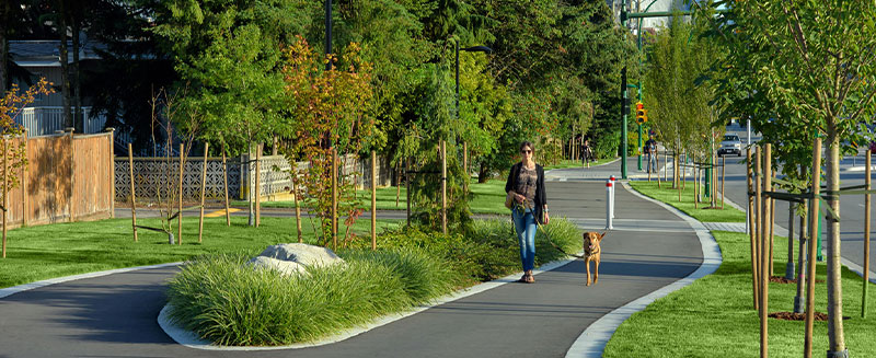 Dedicated Pedestrian-Cycle Route